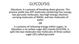 GLYCOLYSIS
Glycolysis; Is a process of breaking down glucose. The
process yields two ATP molecules containing free energy,
two pyruvate molecules, two high energy, electron-
carrying molecules of NADH, and two molecules of
water.
OR
Is a process of releasing energy within sugars. In
Glycolysis a six carbon sugar (6C) mainly GLUCOSE, is
split into two molecules two molecules of three carbon
sugar (3C) called pyruvate.
 