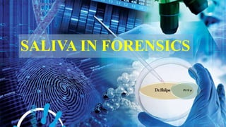 SALIVA IN FORENSICS
Dr.Shilpa PG II yr
 