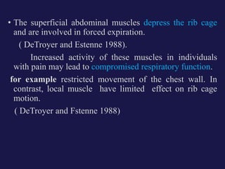 • The superficial abdominal muscles depress the rib cage
and are involved in forced expiration.
( DeTroyer and Estenne 1988).
Increased activity of these muscles in individuals
with pain may lead to compromised respiratory function.
for example restricted movement of the chest wall. In
contrast, local muscle have limited effect on rib cage
motion.
( DeTroyer and Fstenne 1988)
 