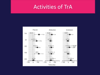Activities of TrA
 