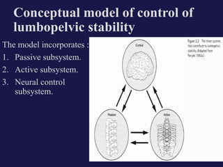 Conceptual model of control of
lumbopelvic stability
The model incorporates :
1. Passive subsystem.
2. Active subsystem.
3. Neural control
subsystem.
 