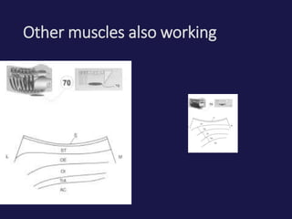 Other muscles also working
 
