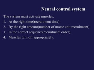 Neural control system
The system must activate muscles:
1. At the right time(recruitment time).
2. By the right amount(number of motor unit recruitment).
3. In the correct sequence(recruitment order).
4. Muscles turn off appropriately.
 