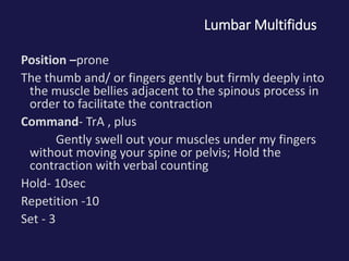 Lumbar Multifidus
Position –prone
The thumb and/ or fingers gently but firmly deeply into
the muscle bellies adjacent to the spinous process in
order to facilitate the contraction
Command- TrA , plus
Gently swell out your muscles under my fingers
without moving your spine or pelvis; Hold the
contraction with verbal counting
Hold- 10sec
Repetition -10
Set - 3
 