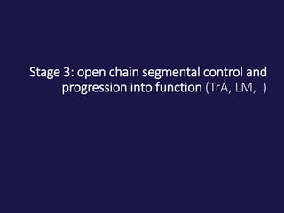 Stage 3: open chain segmental control and
progression into function (TrA, LM, )
 