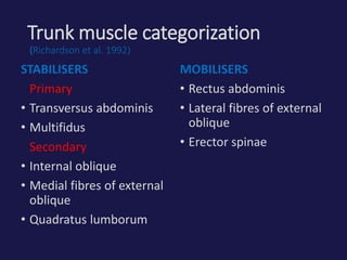 Trunk muscle categorization
(Richardson et al. 1992)
STABILISERS
Primary
• Transversus abdominis
• Multifidus
Secondary
• Internal oblique
• Medial fibres of external
oblique
• Quadratus lumborum
MOBILISERS
• Rectus abdominis
• Lateral fibres of external
oblique
• Erector spinae
 
