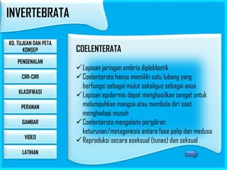 INVERTEBRATA
KD, TUJUAN DAN PETA
KONSEP
PENGENALAN
CIRI-CIRI
KLASIFIKASI
PERANAN
GAMBAR

VIDEO
LATIHAN

COELENTERATA
Lapisan jaringan embrio diploblastik
Coelenterata hanya memiliki satu lubang yang
berfungsi sebagai mulut sekaligus sebagai anus
Lapisan epidermis dapat menghasilkan sengat untuk
melumpuhkan mangsa atau membela diri saat
menghadapi musuh
Coelenterata mengalami pergiliran
keturunan/metagenesis antara fase polip dan medusa
Reproduksi secara aseksual (tunas) dan seksual

 