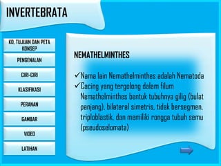 INVERTEBRATA
KD, TUJUAN DAN PETA
KONSEP
PENGENALAN
CIRI-CIRI
KLASIFIKASI
PERANAN
GAMBAR

VIDEO
LATIHAN

NEMATHELMINTHES
Nama lain Nemathelminthes adalah Nematoda
Cacing yang tergolong dalam filum
Nemathelminthes bentuk tubuhnya gilig (bulat
panjang), bilateral simetris, tidak bersegmen,
triploblastik, dan memiliki rongga tubuh semu
(pseudoselomata)

 