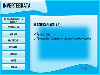 INVERTEBRATA
KD, TUJUAN DAN PETA
KONSEP
PENGENALAN
CIRI-CIRI
KLASIFIKASI
PERANAN
GAMBAR

VIDEO
LATIHAN

KLASIFIKASI (KELAS)
Aphasmidia
Phasmidia. Contohnya Ascaris lumbercoides.

 