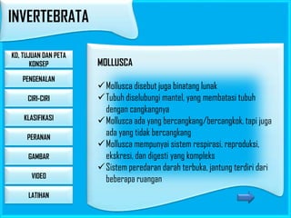 INVERTEBRATA
KD, TUJUAN DAN PETA
KONSEP
PENGENALAN
CIRI-CIRI
KLASIFIKASI
PERANAN
GAMBAR

VIDEO
LATIHAN

MOLLUSCA
Mollusca disebut juga binatang lunak
Tubuh diselubungi mantel, yang membatasi tubuh
dengan cangkangnya
Mollusca ada yang bercangkang/bercangkok, tapi juga
ada yang tidak bercangkang
Mollusca mempunyai sistem respirasi, reproduksi,
ekskresi, dan digesti yang kompleks
Sistem peredaran darah terbuka, jantung terdiri dari
beberapa ruangan

 