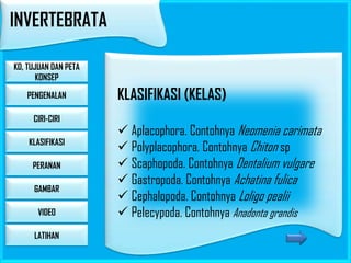 INVERTEBRATA
KD, TUJUAN DAN PETA
KONSEP
PENGENALAN
CIRI-CIRI
KLASIFIKASI
PERANAN
GAMBAR

VIDEO
LATIHAN

KLASIFIKASI (KELAS)
 Aplacophora. Contohnya Neomenia carimata
 Polyplacophora. Contohnya Chiton sp
 Scaphopoda. Contohnya Dentalium vulgare
 Gastropoda. Contohnya Achatina fulica
 Cephalopoda. Contohnya Loligo pealii
 Pelecypoda. Contohnya Anadonta grandis

 