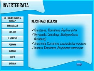 INVERTEBRATA
KD, TUJUAN DAN PETA
KONSEP

KLASIFIKASI (KELAS)

PENGENALAN
CIRI-CIRI
KLASIFIKASI
PERANAN
GAMBAR

VIDEO
LATIHAN

Crustacea. Contohnya Daphnia pulex
Myriapoda. Contohnya Scolopendra sp
(kelabang)
Arachnida. Contohnya Lactrodectus mactans
Insecta. Contohnya Periplaneta americana

 