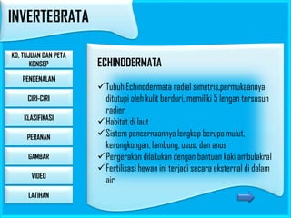 INVERTEBRATA
KD, TUJUAN DAN PETA
KONSEP
PENGENALAN
CIRI-CIRI
KLASIFIKASI
PERANAN
GAMBAR

VIDEO
LATIHAN

ECHINODERMATA
Tubuh Echinodermata radial simetris,permukaannya
ditutupi oleh kulit berduri, memiliki 5 lengan tersusun
radier
Habitat di laut
Sistem pencernaannya lengkap berupa mulut,
kerongkongan, lambung, usus, dan anus
Pergerakan dilakukan dengan bantuan kaki ambulakral
Fertilisasi hewan ini terjadi secara eksternal di dalam
air

 