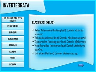 INVERTEBRATA
KD, TUJUAN DAN PETA
KONSEP

KLASIFIKASI (KELAS)

PENGENALAN
CIRI-CIRI
KLASIFIKASI
PERANAN
GAMBAR

VIDEO
LATIHAN

Kelas Asteroidea (bintang laut) Contoh: Asterias

forbesi.

Echinoidea (landak laut) Contoh: Diadema saxsatile.
Ophiuroidea (bintang ular laut) Contoh: Ophiura sp.
Holothuroidea (mentimun laut) Contoh Holothuria

scabra.

Crinoidea (leli laut) Contoh: Metacrinus sp.

 