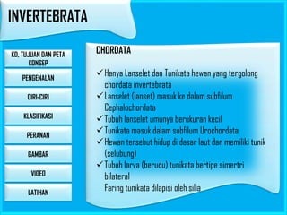 INVERTEBRATA
KD, TUJUAN DAN PETA
KONSEP
PENGENALAN
CIRI-CIRI
KLASIFIKASI
PERANAN
GAMBAR

VIDEO
LATIHAN

CHORDATA

Hanya Lanselet dan Tunikata hewan yang tergolong
chordata invertebrata
Lanselet (lanset) masuk ke dalam subfilum
Cephalochordata
Tubuh lanselet umunya berukuran kecil
Tunikata masuk dalam subfilum Urochordata
Hewan tersebut hidup di dasar laut dan memiliki tunik
(selubung)
Tubuh larva (berudu) tunikata bertipe simertri
bilateral
Faring tunikata dilapisi oleh silia

 