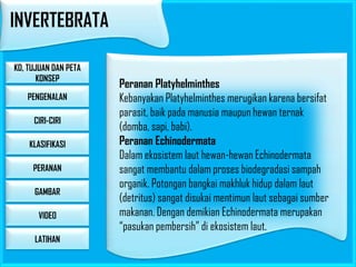 INVERTEBRATA
KD, TUJUAN DAN PETA
KONSEP
PENGENALAN
CIRI-CIRI
KLASIFIKASI
PERANAN
GAMBAR

VIDEO
LATIHAN

Peranan Platyhelminthes
Kebanyakan Platyhelminthes merugikan karena bersifat
parasit, baik pada manusia maupun hewan ternak
(domba, sapi, babi).
Peranan Echinodermata
Dalam ekosistem laut hewan-hewan Echinodermata
sangat membantu dalam proses biodegradasi sampah
organik. Potongan bangkai makhluk hidup dalam laut
(detritus) sangat disukai mentimun laut sebagai sumber
makanan. Dengan demikian Echinodermata merupakan
“pasukan pembersih” di ekosistem laut.

 