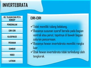 INVERTEBRATA
KD, TUJUAN DAN PETA
KONSEP
PENGENALAN
CIRI-CIRI
KLASIFIKASI
PERANAN
GAMBAR

VIDEO
LATIHAN

CIRI-CIRI
Tidak memiliki tulang belakang.
Biasanya susunan syaraf berada pada bagian
ventral atau perut, tepatnya di bawah bagian
saluran pencernaan.
Biasanya hewan invertebrata memiliki rangka
luar.
Otak hewan invertebrata tidak terlindungi oleh
tengkorak.

 