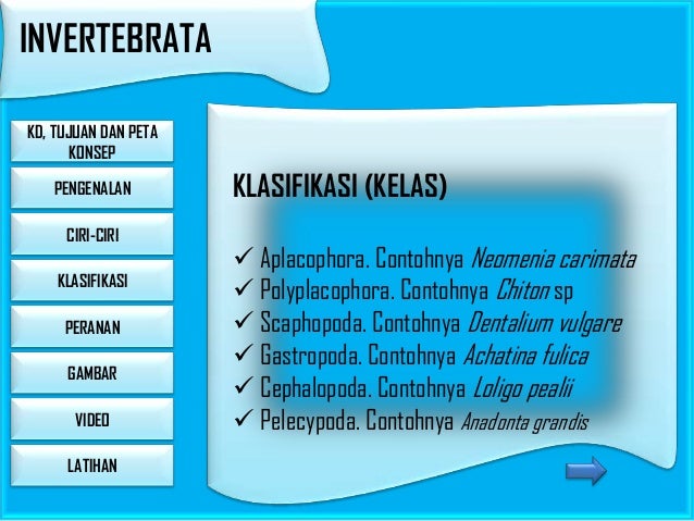 Ppt Interaktif Invertebrata