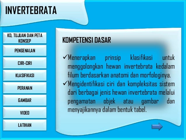 Gambar Hewan  Invertebrata  Dan  Penjelasannya  Info Masaran