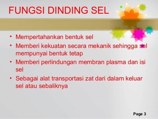  dinding  sel 