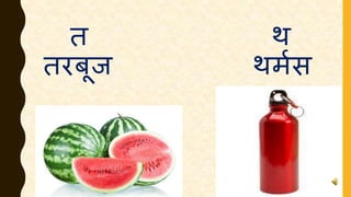 त थ
तरबूज थमणस
 