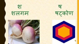 श ष
शलगम षट्कोर्
 