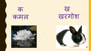 क
कमल
ख
खरगोश
 