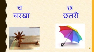 च छ
चरखा छतरी
 
