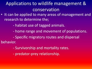 Applications to wildlife management &
conservation
• It can be applied to many areas of management and
research to determine the;
- habitat use of tagged animals.
- home range and movement of populations.
- Specific migratory routes and dispersal
behavior.
- Survivorship and mortality rates.
- predator-prey relationship.
 