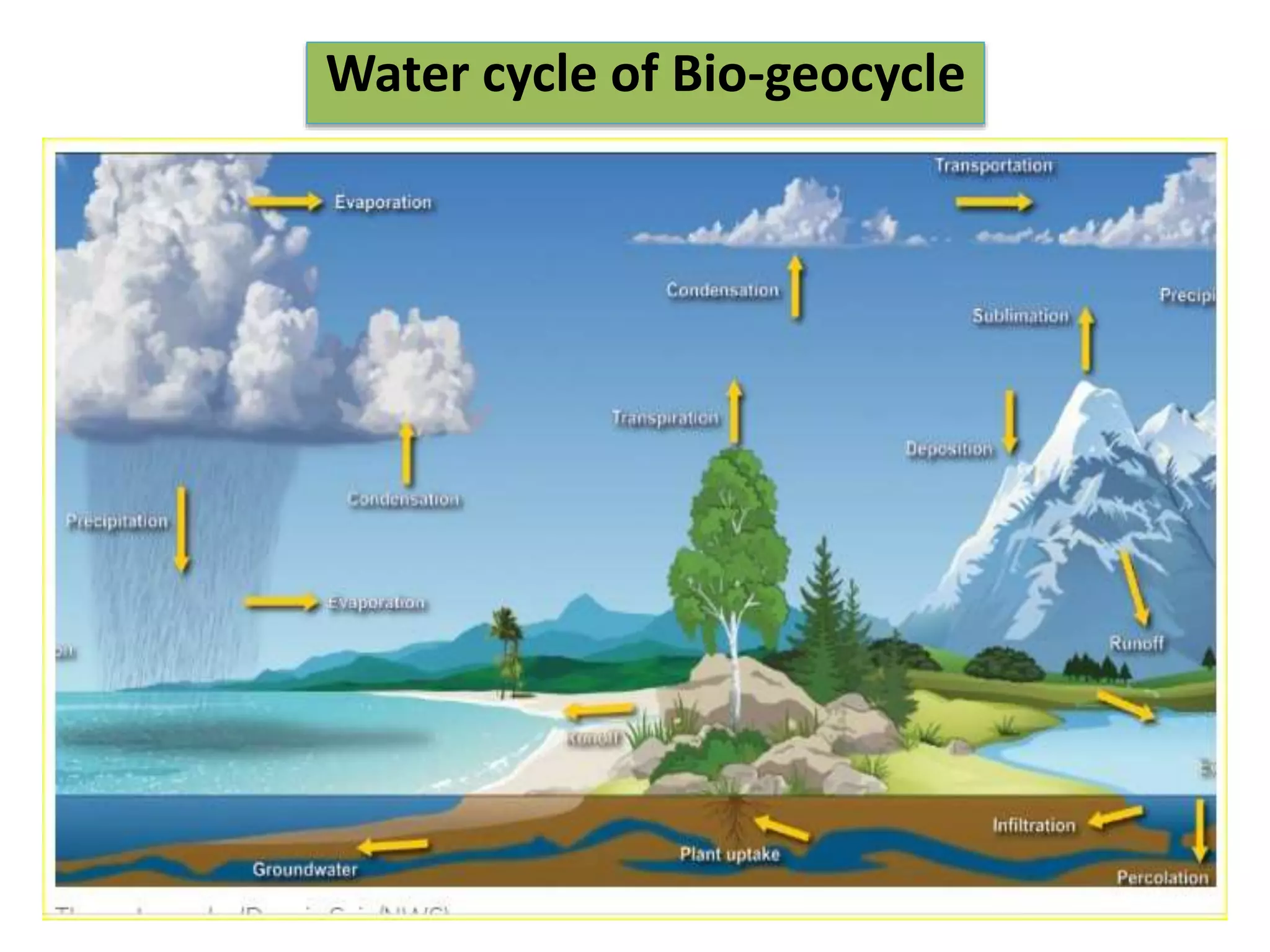 Water cycle of Bio-geocycle
 