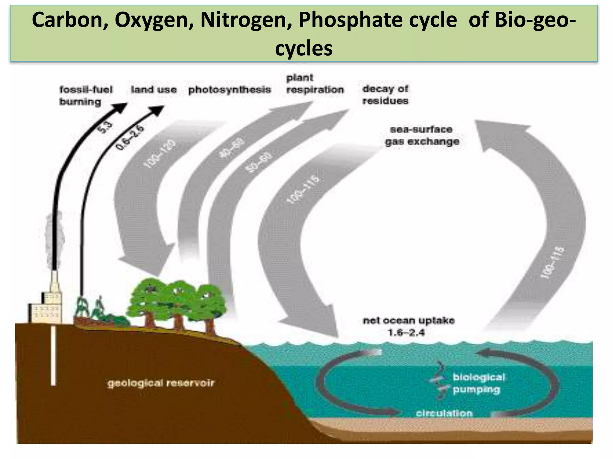 Carbon, Oxygen, Nitrogen, Phosphate cycle of Bio-geo-
cycles
 
