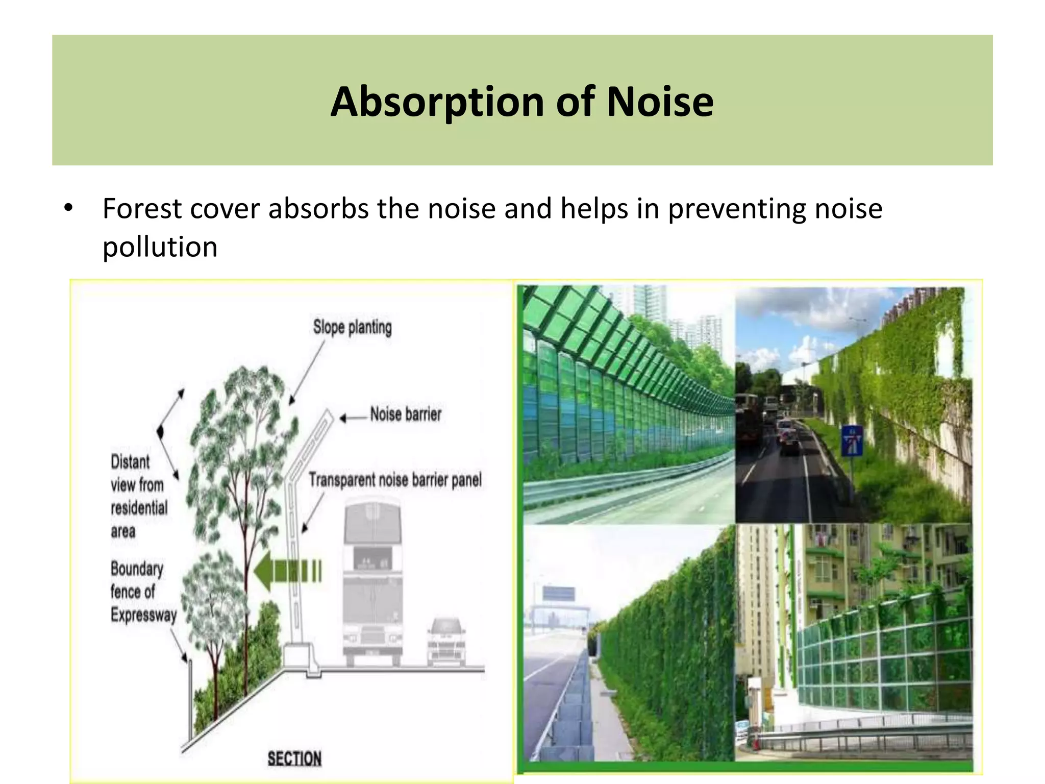 Absorption of Noise
• Forest cover absorbs the noise and helps in preventing noise
pollution
 