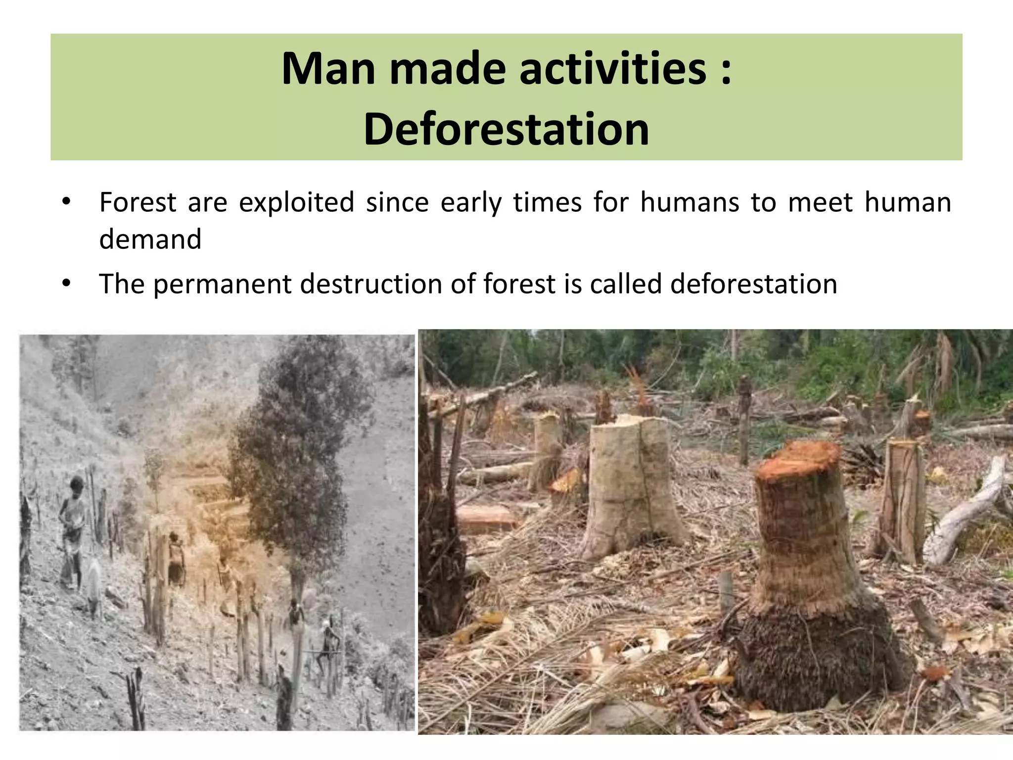 Man made activities :
Deforestation
• Forest are exploited since early times for humans to meet human
demand
• The permanent destruction of forest is called deforestation
 