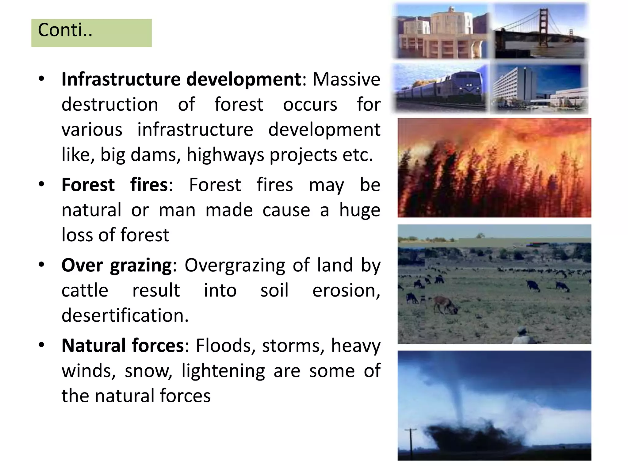 • Infrastructure development: Massive
destruction of forest occurs for
various infrastructure development
like, big dams, highways projects etc.
• Forest fires: Forest fires may be
natural or man made cause a huge
loss of forest
• Over grazing: Overgrazing of land by
cattle result into soil erosion,
desertification.
• Natural forces: Floods, storms, heavy
winds, snow, lightening are some of
the natural forces
Conti..
 