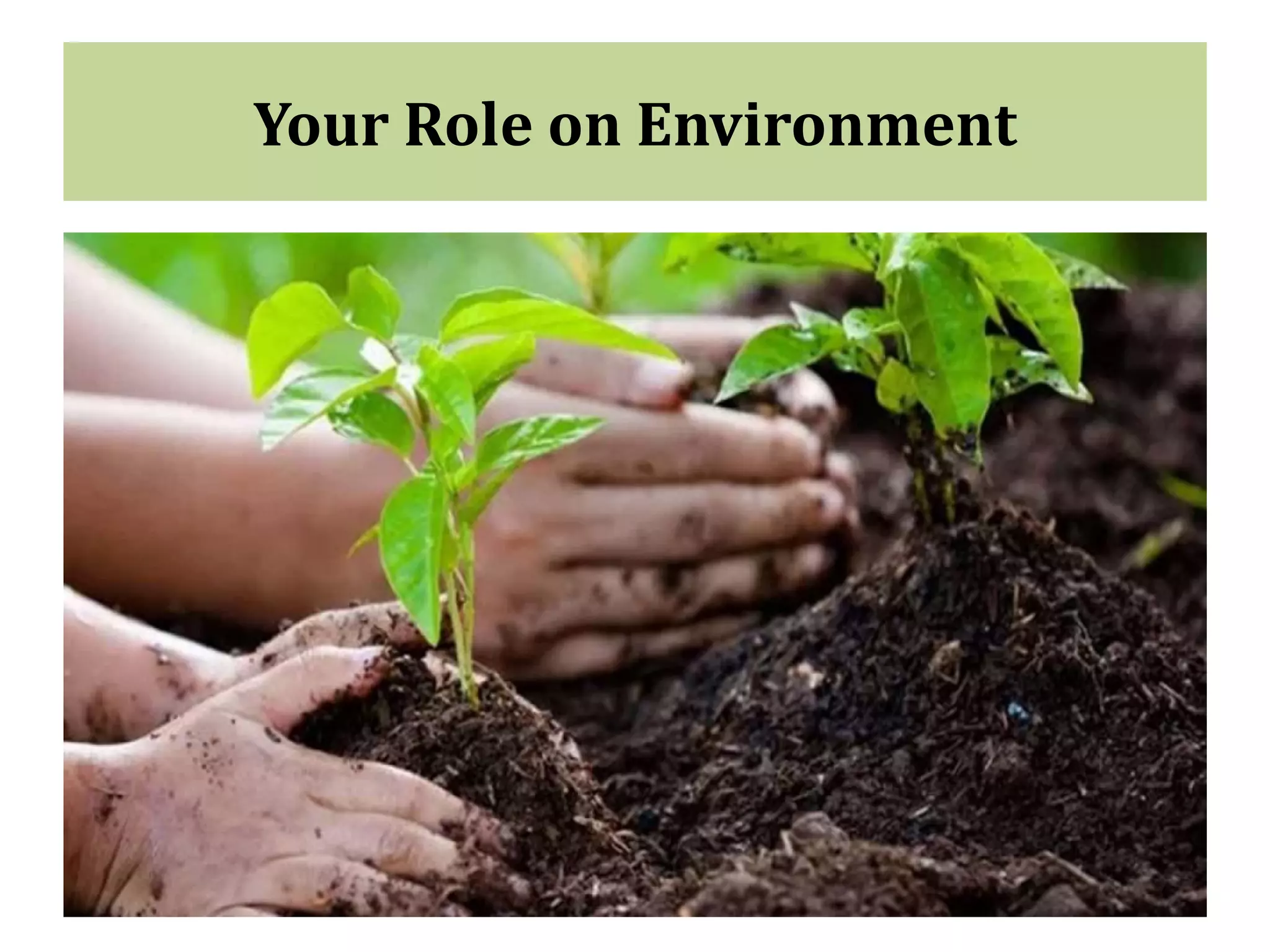 Your Role on Environment
 
