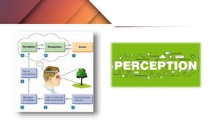 Perception Flowchart Perception concept | PPTX