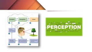 Perception concept
