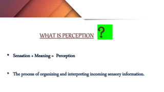 WHAT IS PERCEPTION ?
• Sensation + Meaning = Perception
• The process of organizing and interpreting incoming sensory info...