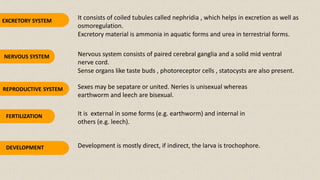It consists of coiled tubules called nephridia , which helps in excretion as well as
osmoregulation.
Excretory material is ammonia in aquatic forms and urea in terrestrial forms.
Nervous system consists of paired cerebral ganglia and a solid mid ventral
nerve cord.
Sense organs like taste buds , photoreceptor cells , statocysts are also present.
Sexes may be sepatare or united. Neries is unisexual whereas
earthworm and leech are bisexual.
It is external in some forms (e.g. earthworm) and internal in
others (e.g. leech).
Development is mostly direct, if indirect, the larva is trochophore.
EXCRETORY SYSTEM
NERVOUS SYSTEM
REPRODUCTIVE SYSTEM
FERTILIZATION
DEVELOPMENT
 