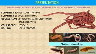PRESENTATION
TOPIC: GENERAL ORGANISATION OF PHYLUM ANNELIDA WITH SPECIAL REFERENCE TO SEGMENTATION
SUBMITTED TO : Dr. RAKESH KUMAR
SUBMITTED BY : YOGINI SHARMA
COURSE NAME : STRUCTURE AND FUNCTION OF
INVERTEBRATES
COURSE CODE : ZOO416
ROLL NO. : CUHP21ZOO33
 