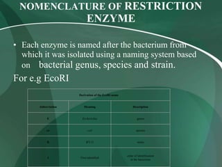 NOMENCLATURE OF RESTRICTION
ENZYME
• Each enzyme is named after the bacterium from
which it was isolated using a naming system based
on bacterial genus, species and strain.
For e.g EcoRI
Derivation of the EcoRI name
Abbreviation Meaning Description
E Escherichia genus
co coli species
R RY13 strain
I First identified
order of identification
in the bacterium
 