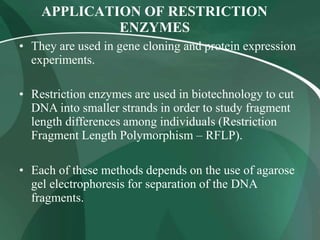 APPLICATION OF RESTRICTION
ENZYMES
• They are used in gene cloning and protein expression
experiments.
• Restriction enzymes are used in biotechnology to cut
DNA into smaller strands in order to study fragment
length differences among individuals (Restriction
Fragment Length Polymorphism – RFLP).
• Each of these methods depends on the use of agarose
gel electrophoresis for separation of the DNA
fragments.
 
