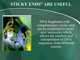 “STICKY ENDS” ARE USEFUL
DNA fragments with
complimentary sticky ends
can be combined to create
new molecules which
allows the creation and
manipulation of DNA
sequences from different
sources.
 