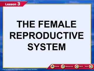 Lesson 3
THE FEMALE
REPRODUCTIVE
SYSTEM
 