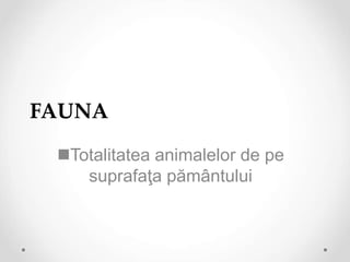 FAUNA
Totalitatea animalelor de pe
suprafaţa pământului
 