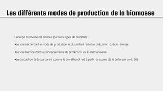 Les différents modes de production de la biomasse
L’énergie biomasse est obtenue par trois types de procédés :
•La voie sèche dont le mode de production le plus utilisé reste la combustion du bois-énergie.
•La voie humide dont la principale filière de production est la méthanisation
•La production de biocarburant comme le bio-éthanol fait à partir de sucres de la betterave ou du blé
 