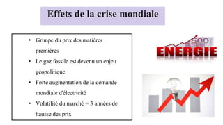 Effets de la crise mondiale
• Grimpe du prix des matières
premières
• Le gaz fossile est devenu un enjeu
géopolitique
• Forte augmentation de la demande
mondiale d'électricité
• Volatilité du marché = 3 années de
hausse des prix
 