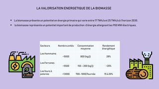 LA VALORISATION ENERGETIQUE DE LA BIOMASSE
 La biomasse présenteun potentielen énergieprimaire qui varie entre 17 TWh/a et 25 TWh/aà l’horizon 2030.
 la biomasse représenteun potentielimportant de production d’énergieatteignantles 950 MW électriques.
Secteurs Nombreunités Consommation
moyenne
Rendement
énergétique
LesHammams
~5000 800 (kg/j) 28%
LesFerranes
~5500 150 – 200(kg/j) ~20%
Lesfours à
poteries ~13000 700- 1000/fournée 15 à 20%
 