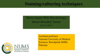Staining/culturing techniques
Wasim Sajjad (PhD Microbiology)
Master Biosafety Trainer
(NIH-USA/PBSA)
Assistant professor
National University of Medical
Sciences, Rawalpindi 46000,
Pakistan.
 
