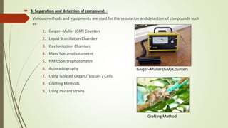  3. Separation and detection of compound: -
Various methods and equipments are used for the separation and detection of compounds such
as-
1. Geiger–Muller (GM) Counters
2. Liquid Scintillation Chamber
3. Gas Ionization Chamber:
4. Mass Spectrophotometer
5. NMR Spectrophotometer
6. Autoradiography
7. Using Isolated Organ / Tissues / Cells
8. Grafting Methods
9. Using mutant strains
Geiger–Muller (GM) Counters
Grafting Method
 